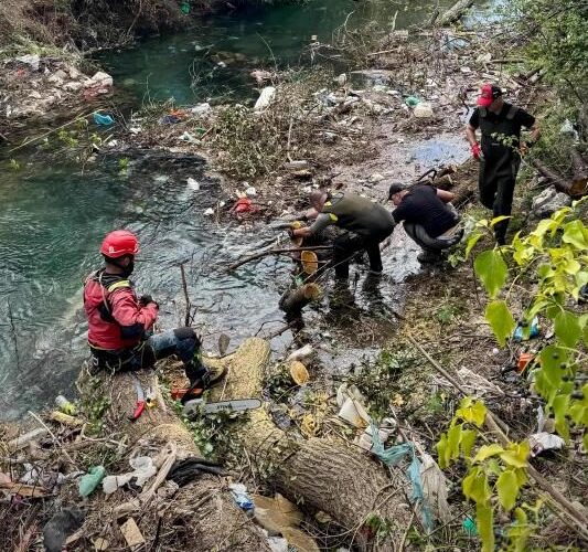 Započeta akcija uklanjanja stabala i akumuliranog otpada iz korita Ribnice